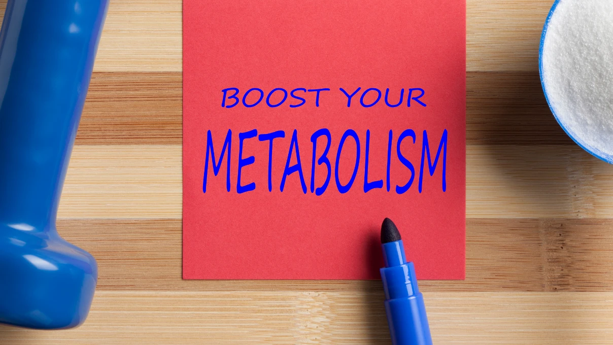 metabolizma 3
