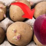 patates filizlenmesine en etkili cozum bu yontemle aylarca tas gibi kalacak 10
