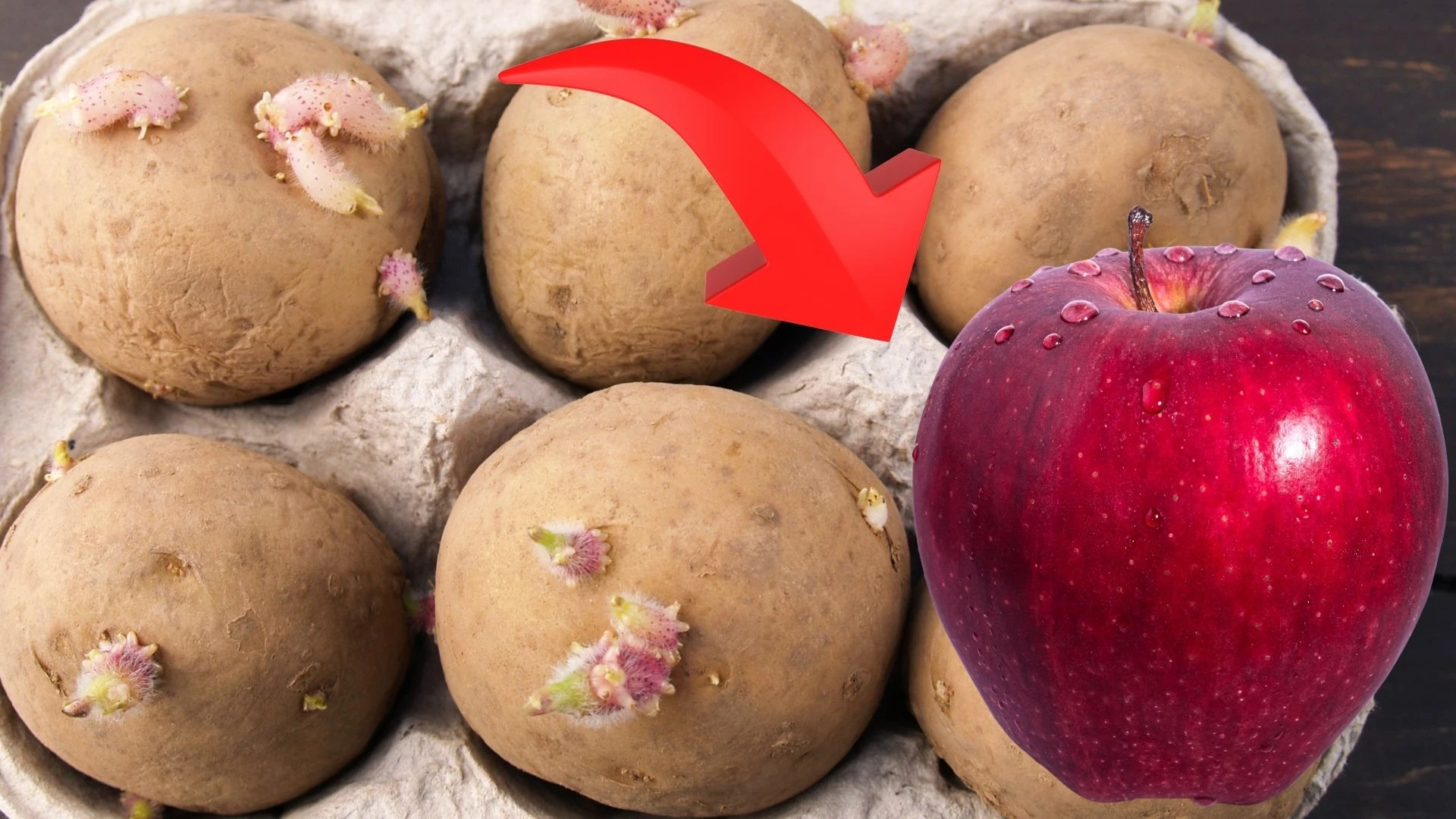 patates filizlenmesine en etkili cozum bu yontemle aylarca tas gibi kalacak 10