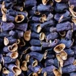 Patlıcan kurutması fırında da yapılır mı? Patlıcan dolması nerede kurutulur?