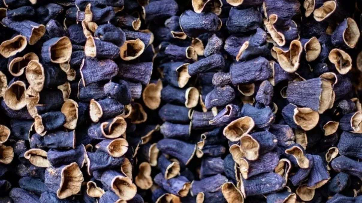 Patlıcan kurutması fırında da yapılır mı? Patlıcan dolması nerede kurutulur?