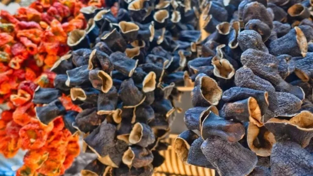 Patlıcan kurutması fırında da yapılır mı? Patlıcan dolması nerede kurutulur?