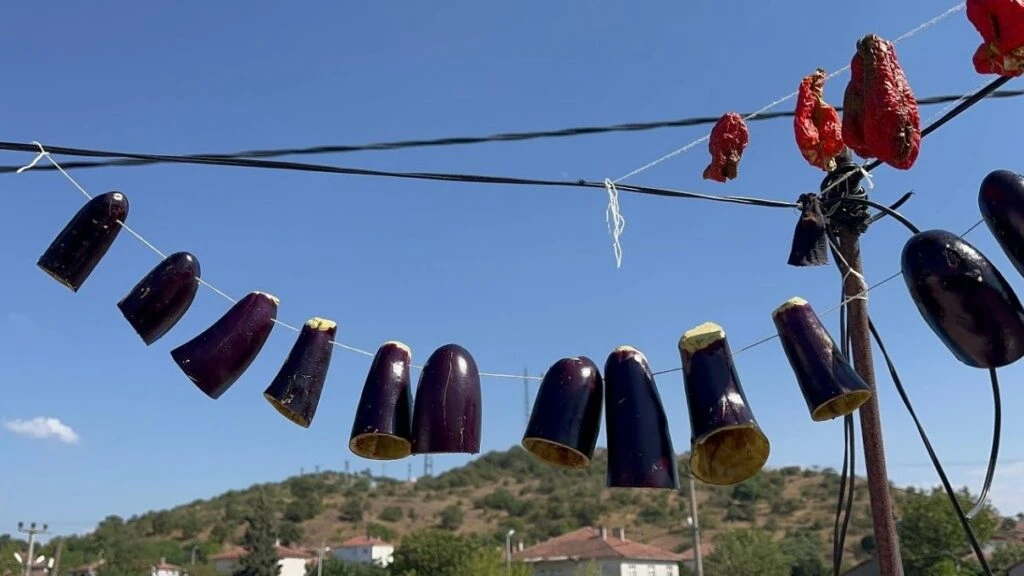 Patlıcan kurutması fırında da yapılır mı? Patlıcan dolması nerede kurutulur?