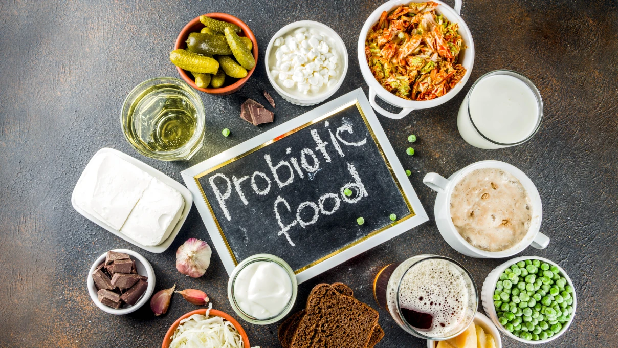 probiyotik 1