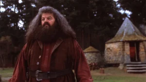 robbie coltrane the actor and comedian who played hagrid in yqnz.1200