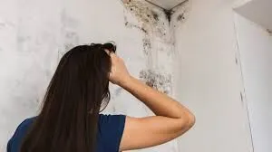 Kış aylarında evde oluşan rutubet kokusunu anında gideren doğal formül! 4 rutubet