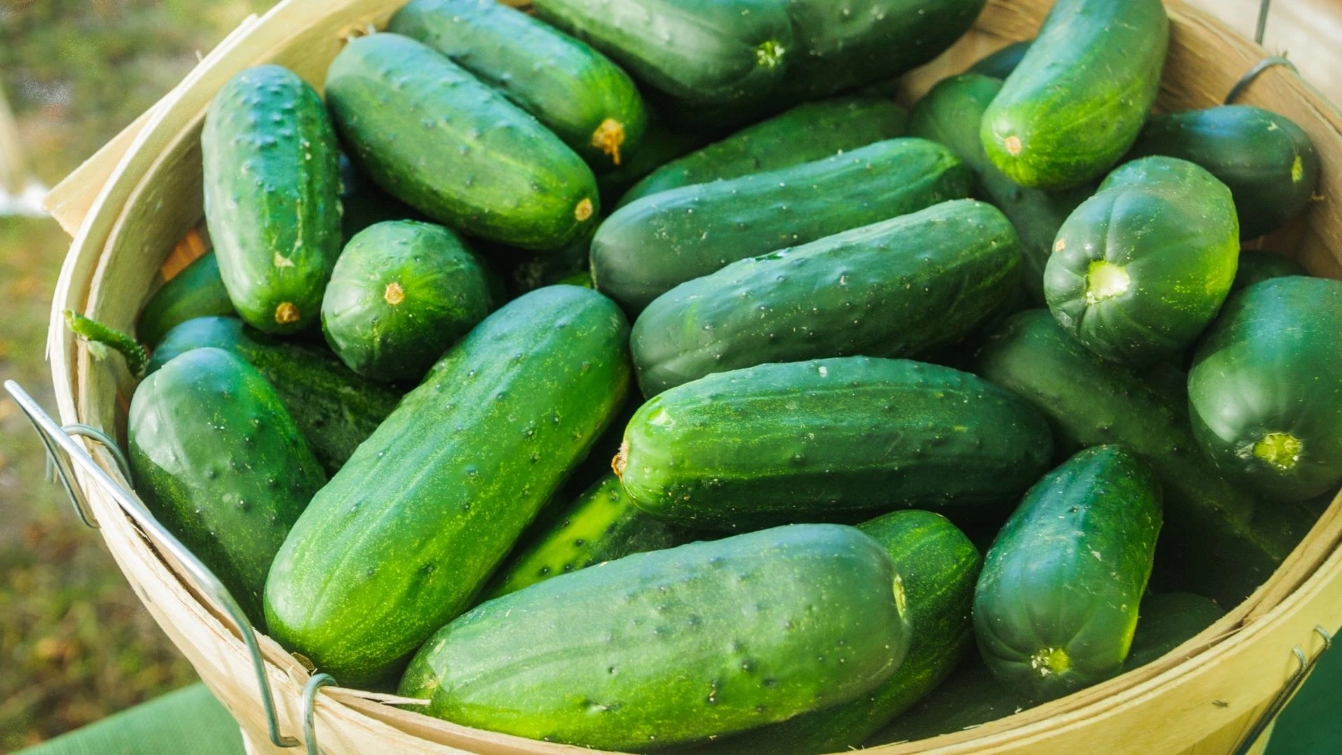 salataliklari haftalarca kutur kutur taptaze tutmanin sirri yeni dalindan koparilmis gibi kalacak 4