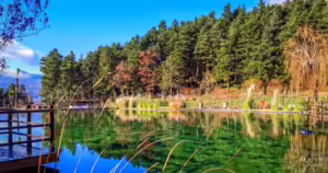 sapanca gezilecek yerler