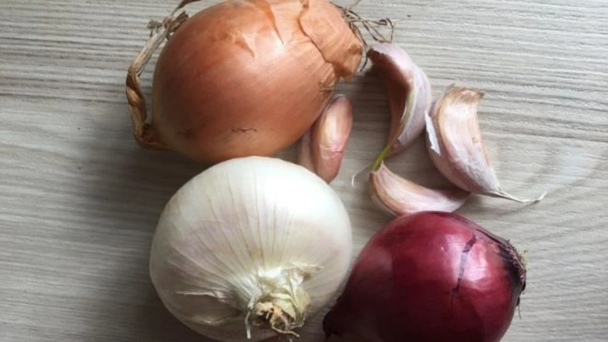 Soğanlı sarımsaklı kavurma! İbn-i Sina’dan antibiyotik ilacı 4 sarimsagin faydasi