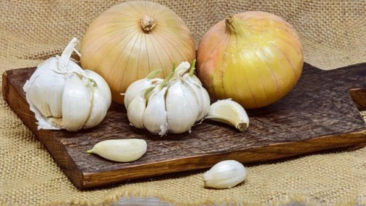 Soğanlı sarımsaklı kavurma! İbn-i Sina’dan antibiyotik ilacı 5 soganin faydasi