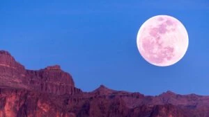 strawberry moon 2025 cilek dolunayi ne demektir