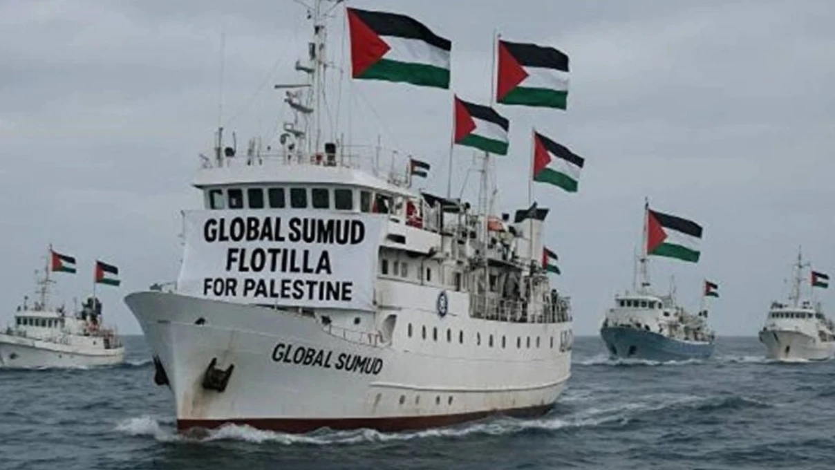sumud 1 1