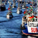 sumud 2 1