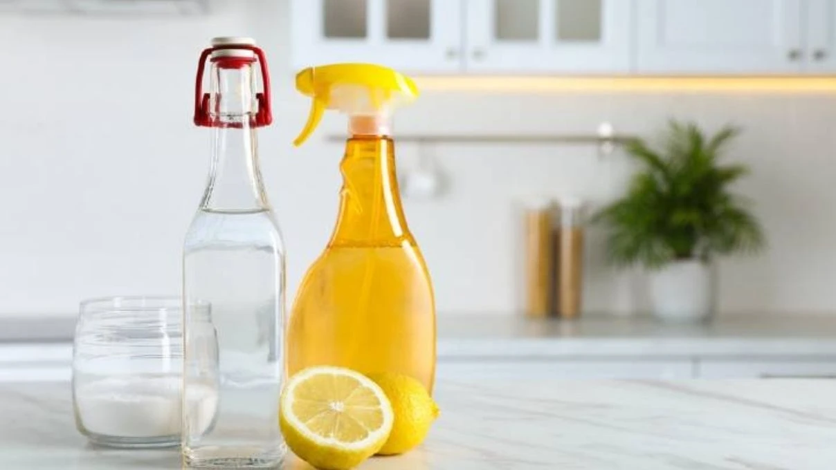 Sürdürülebilir temizlik! Doğal ve zararlı kimyasallar içermeyen ev bakım tarifleri 10 Sürdürülebilir temizlik! Doğal ve zararlı kimyasallar içermeyen ev bakım tarifleri