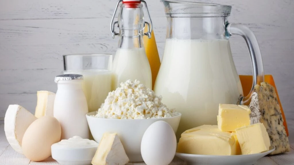 Canan Karatay'dan yaz uyarısı! Açıkta satılan süt ve süt ürünlerine dikkat