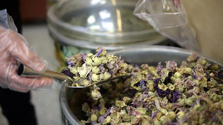 thumbs b c 2c0d3a49a83f71e824250be20c227dc6