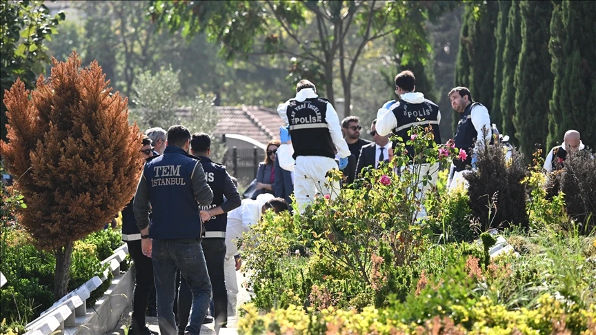 thumbs b c 43671a6228d7fded259234b97010d27c