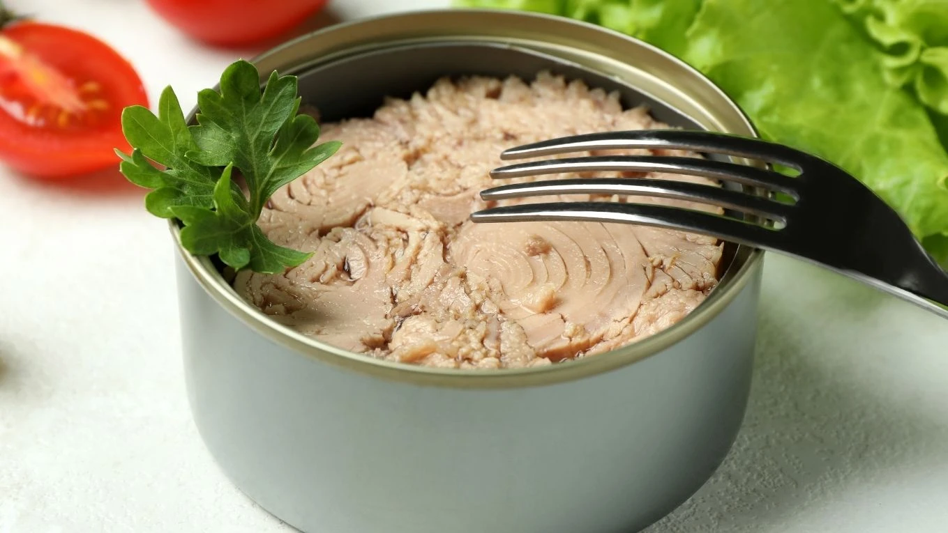 Ton balığında omega-3 yağ asidi var mı? Ton balığıyla ne tüketilir?
