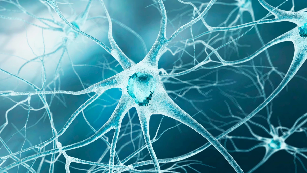 Vagus siniri bedenin gizli süper gücü mü? Wellness dünyasını şekillendiren 7 alışkanlık 7 vagus siniri 3