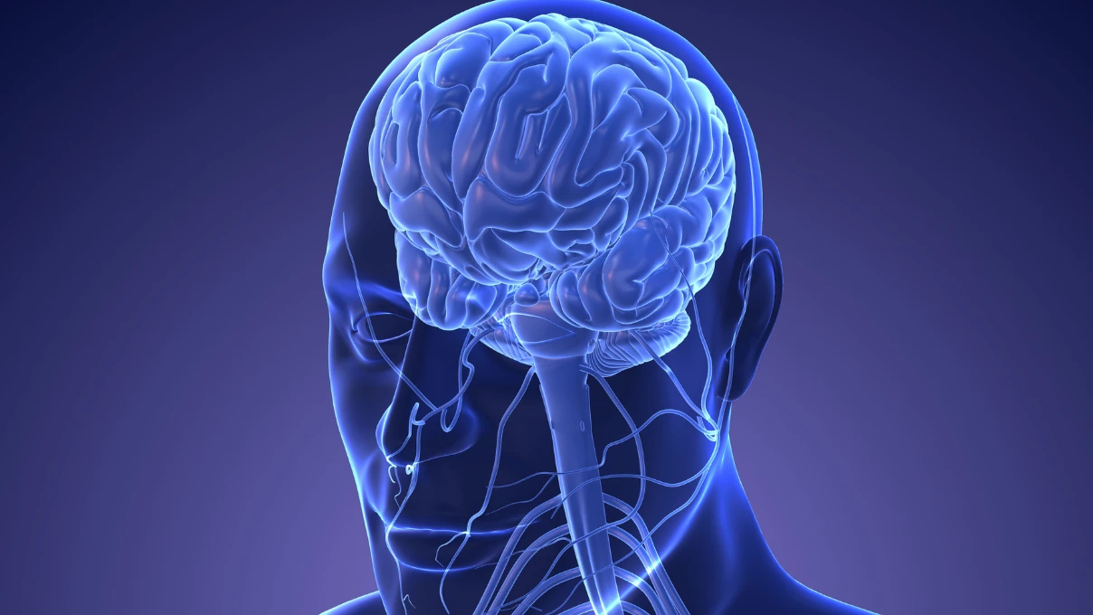 Vagus siniri bedenin gizli süper gücü mü? Wellness dünyasını şekillendiren 7 alışkanlık 8 vagus siniri 4