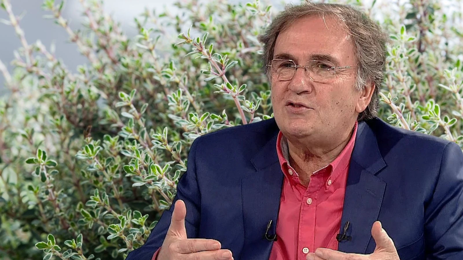 Yaylalardan gelen şifa! İbrahim Saraçoğlu günde bir bardak tüketin diyor