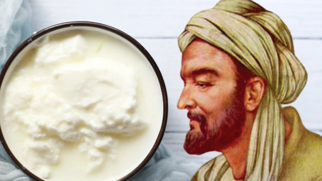 yogurt 3 1