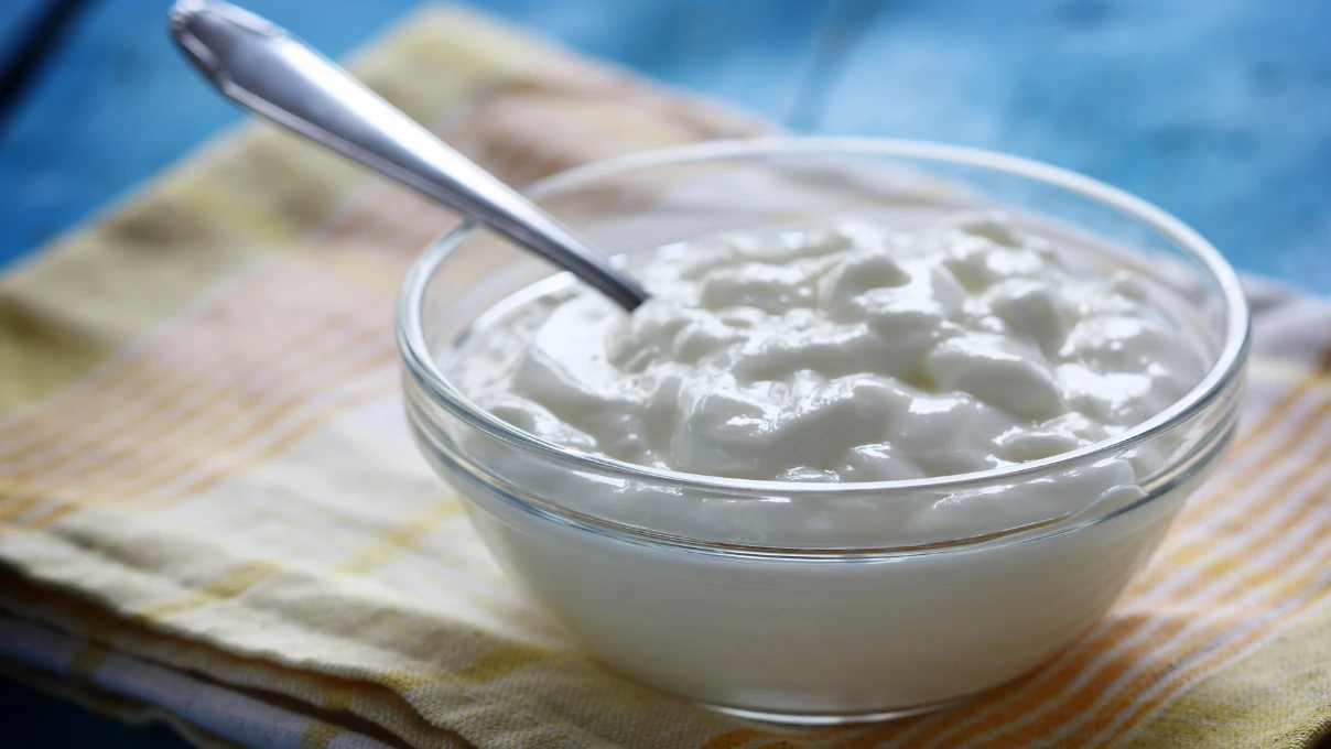 yogurt 5 1
