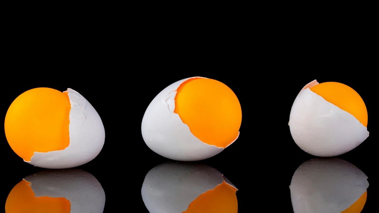 Yumurta kabuklarını sakın atmayın! Kışın bitkileri coşturacak 4 yumurta 1 1