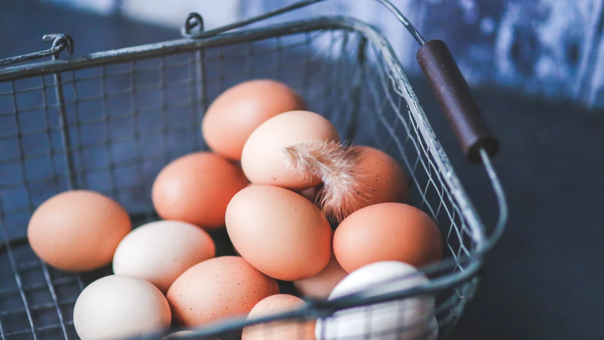 Yumurta kabuklarını sakın atmayın! Kışın bitkileri coşturacak 5 yumurta 2 1