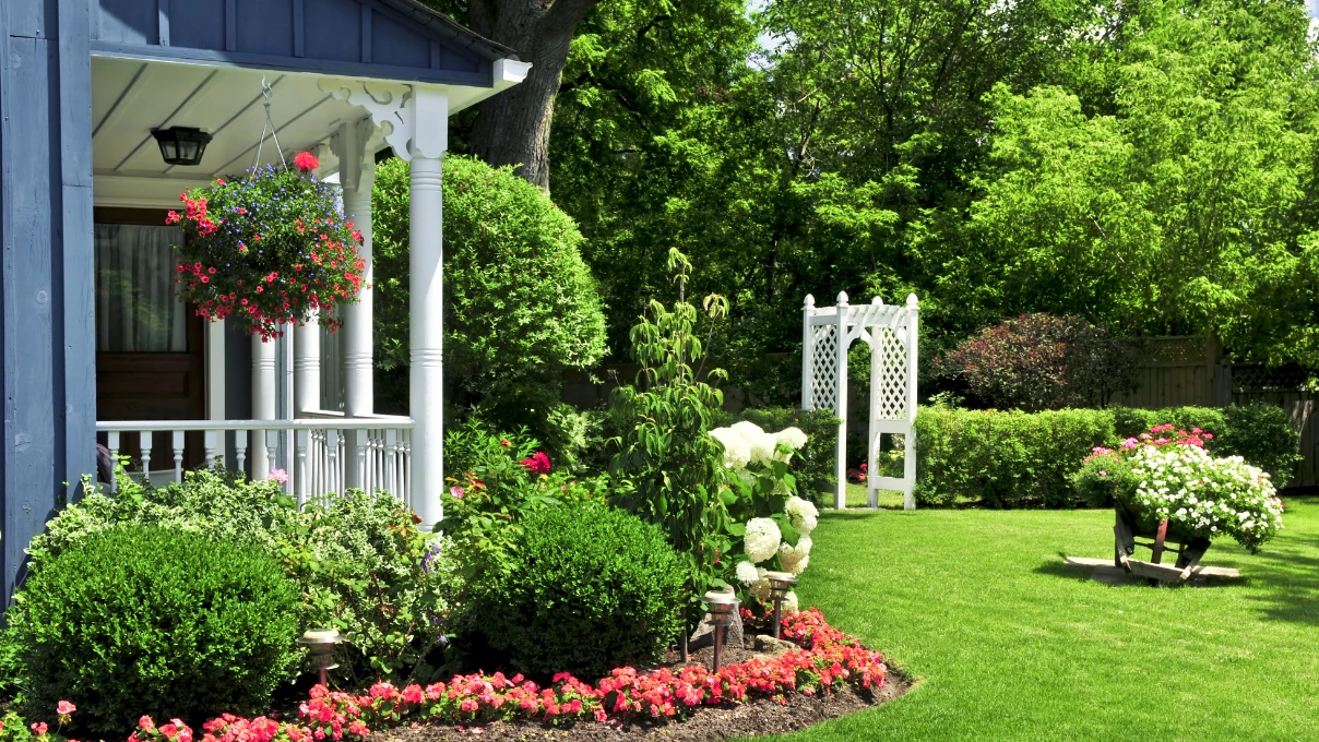 Yumurta kabuklarını sakın atmayın! Kışın bitkileri coşturacak 7 yumurta 4 2