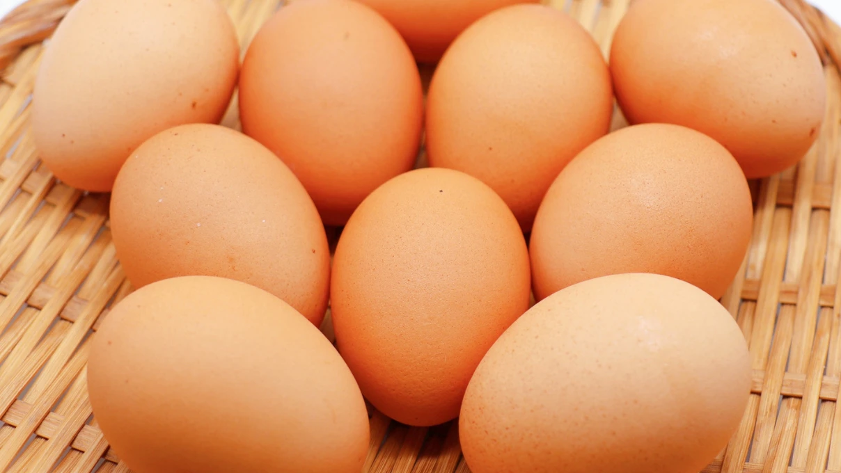 Yumurta kabuklarını sakın atmayın! Kışın bitkileri coşturacak 9 yumurta 8