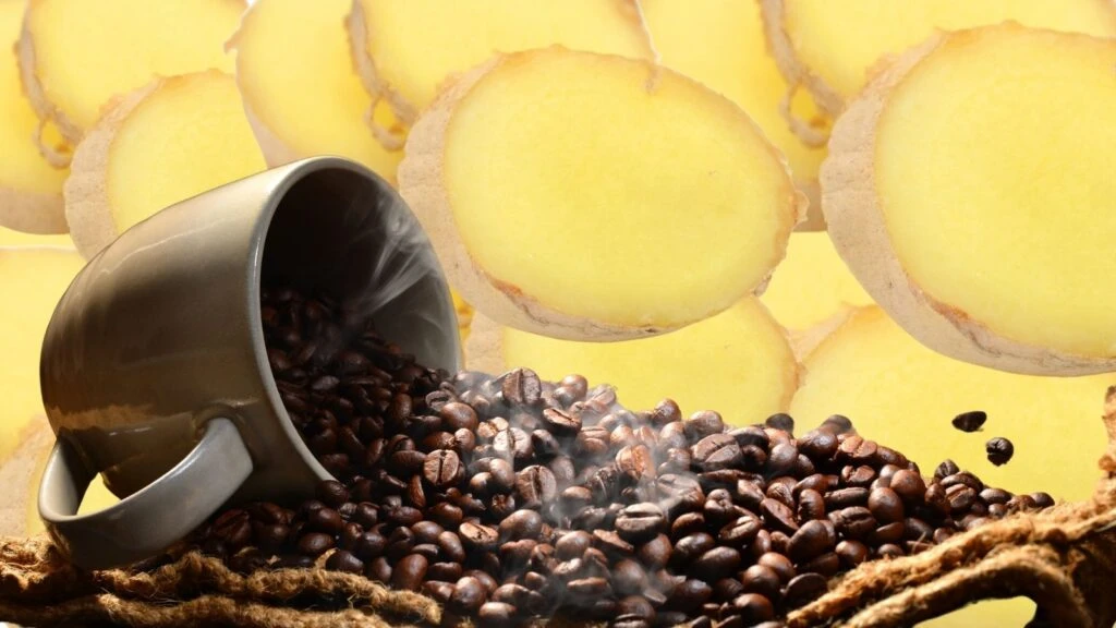Divan toplantılarından önce padişahların kahvelerine eklenir! Hint tıbbının vazgeçilmezi